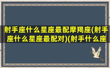 射手座什么星座最配摩羯座(射手座什么星座最配对)(射手什么座最配对指数)