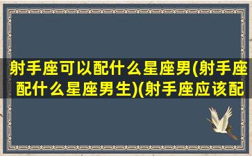 射手座可以配什么星座男(射手座配什么星座男生)(射手座应该配什么星座)