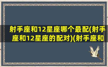 射手座和12星座哪个最配(射手座和12星座的配对)(射手座和十二星座的配对指数)