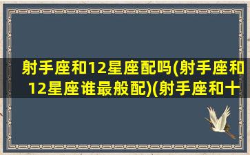 射手座和12星座配吗(射手座和12星座谁最般配)(射手座和十二星座配对百分比)