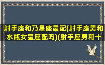 射手座和乃星座最配(射手座男和水瓶女星座配吗)(射手座男和十二星座配对)