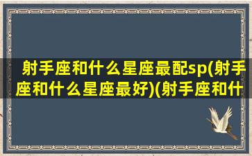 射手座和什么星座最配sp(射手座和什么星座最好)(射手座和什么星座最配合)