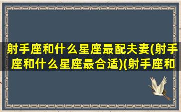 射手座和什么星座最配夫妻(射手座和什么星座最合适)(射手座和什么星座最配当情侣)