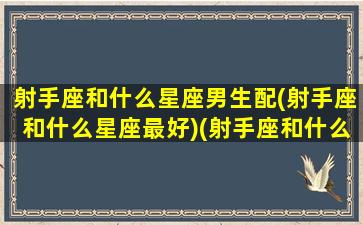 射手座和什么星座男生配(射手座和什么星座最好)(射手座和什么星座最配男朋友)