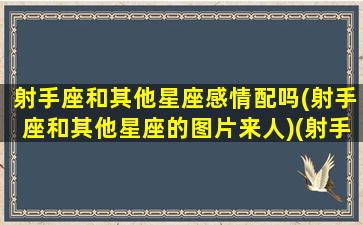 射手座和其他星座感情配吗(射手座和其他星座的图片来人)(射手座跟其他星座契合度)