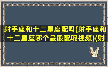 射手座和十二星座配吗(射手座和十二星座哪个最般配呢视频)(射手座和十二星座配对百分比)