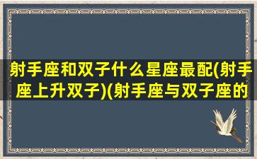 射手座和双子什么星座最配(射手座上升双子)(射手座与双子座的匹配指数)