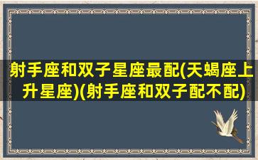 射手座和双子星座最配(天蝎座上升星座)(射手座和双子配不配)