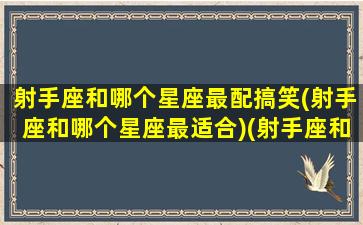 射手座和哪个星座最配搞笑(射手座和哪个星座最适合)(射手座和哪个星座比较搭)