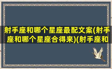 射手座和哪个星座最配文案(射手座和哪个星座合得来)(射手座和哪星座最合适)