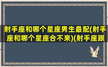 射手座和哪个星座男生最配(射手座和哪个星座合不来)(射手座跟哪个星座最合适)