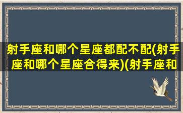 射手座和哪个星座都配不配(射手座和哪个星座合得来)(射手座和哪个星座配对)