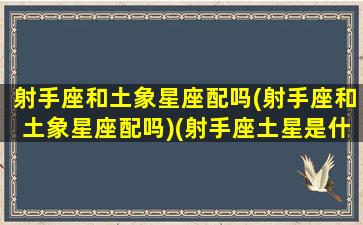 射手座和土象星座配吗(射手座和土象星座配吗)(射手座土星是什么意思)