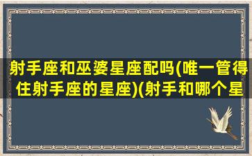 射手座和巫婆星座配吗(唯一管得住射手座的星座)(射手和哪个星座)