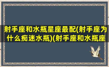 射手座和水瓶星座最配(射手座为什么痴迷水瓶)(射手座和水瓶座的配对率是多少)