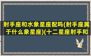 射手座和水象星座配吗(射手座属于什么象星座)(十二星座射手和水瓶在一起会怎样)