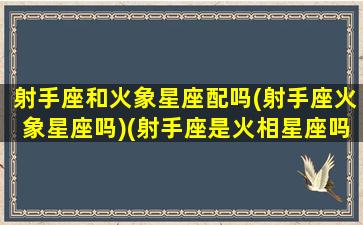 射手座和火象星座配吗(射手座火象星座吗)(射手座是火相星座吗)