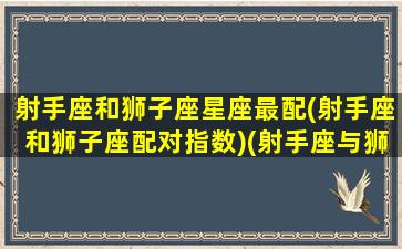 射手座和狮子座星座最配(射手座和狮子座配对指数)(射手座与狮子座的配对指数是多少)