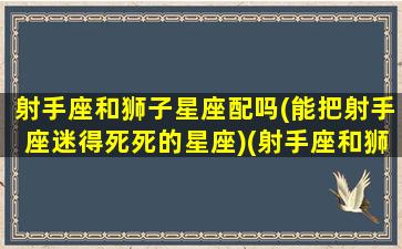 射手座和狮子星座配吗(能把射手座迷得死死的星座)(射手座和狮子座配吗座合适吗)