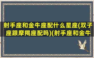 射手座和金牛座配什么星座(双子座跟摩羯座配吗)(射手座和金牛座的相配指数怎么样)