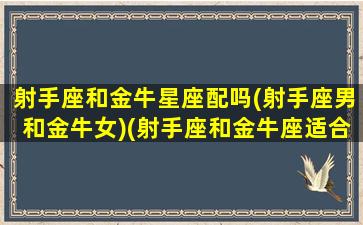 射手座和金牛星座配吗(射手座男和金牛女)(射手座和金牛座适合做夫妻吗)