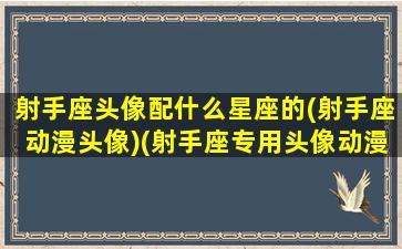 射手座头像配什么星座的(射手座动漫头像)(射手座专用头像动漫)