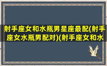 射手座女和水瓶男星座最配(射手座女水瓶男配对)(射手座女和水瓶座男合适吗)