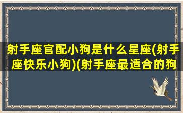 射手座官配小狗是什么星座(射手座快乐小狗)(射手座最适合的狗是哪几种)