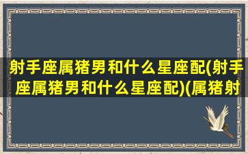 射手座属猪男和什么星座配(射手座属猪男和什么星座配)(属猪射手男爱情观)