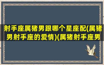 射手座属猪男跟哪个星座配(属猪男射手座的爱情)(属猪射手座男生婚姻)