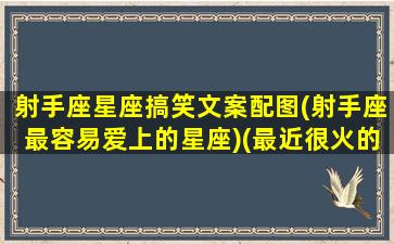 射手座星座搞笑文案配图(射手座最容易爱上的星座)(最近很火的射手座文案)