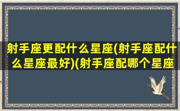 射手座更配什么星座(射手座配什么星座最好)(射手座配哪个星座合适)