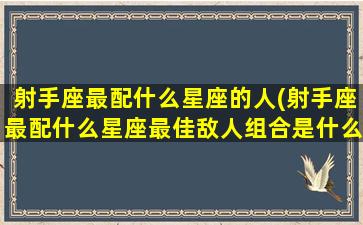 射手座最配什么星座的人(射手座最配什么星座最佳敌人组合是什么)(射手座最搭配哪个星座)