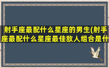 射手座最配什么星座的男生(射手座最配什么星座最佳敌人组合是什么)