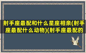 射手座最配和什么星座相亲(射手座最配什么动物)(射手座最配的对象)