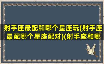 射手座最配和哪个星座玩(射手座最配哪个星座配对)(射手座和哪个星座最配合)