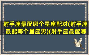 射手座最配哪个星座配对(射手座最配哪个星座男)(射手座最配哪几个星座)