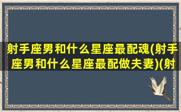 射手座男和什么星座最配魂(射手座男和什么星座最配做夫妻)(射手男与什么星座最匹配)