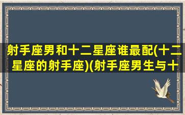 射手座男和十二星座谁最配(十二星座的射手座)(射手座男生与十二星座)