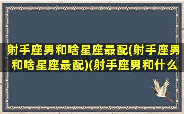 射手座男和啥星座最配(射手座男和啥星座最配)(射手座男和什么星座男最配对)