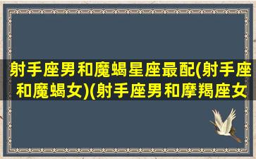 射手座男和魔蝎星座最配(射手座和魔蝎女)(射手座男和摩羯座女合得来吗)