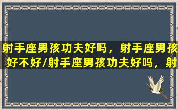 射手座男孩功夫好吗，射手座男孩好不好/射手座男孩功夫好吗，射手座男孩好不好-我的网站