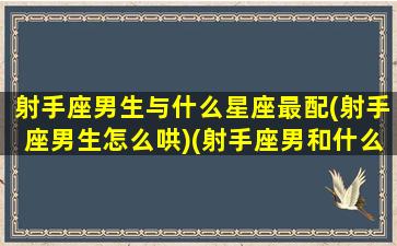 射手座男生与什么星座最配(射手座男生怎么哄)(射手座男和什么星座最搭配)