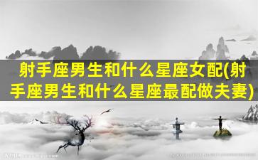 射手座男生和什么星座女配(射手座男生和什么星座最配做夫妻)