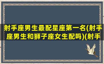 射手座男生最配星座第一名(射手座男生和狮子座女生配吗)(射手座男和狮子座女配对)