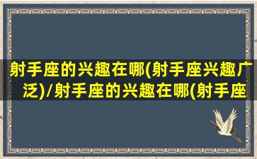 射手座的兴趣在哪(射手座兴趣广泛)/射手座的兴趣在哪(射手座兴趣广泛)-我的网站