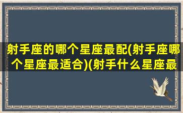 射手座的哪个星座最配(射手座哪个星座最适合)(射手什么星座最配对)