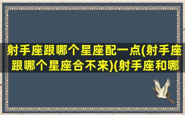 射手座跟哪个星座配一点(射手座跟哪个星座合不来)(射手座和哪个星座更搭配)