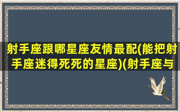 射手座跟哪星座友情最配(能把射手座迷得死死的星座)(射手座与什么星座是最好的朋友)