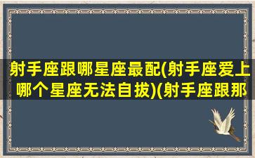 射手座跟哪星座最配(射手座爱上哪个星座无法自拔)(射手座跟那几个星座最般配)